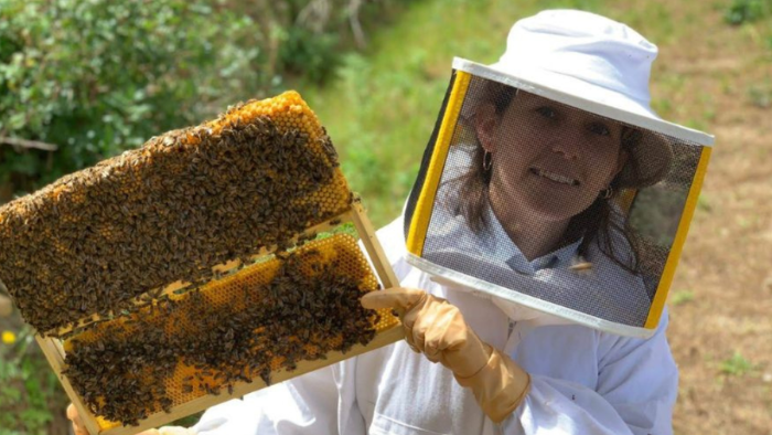 Vành nón chống đốt