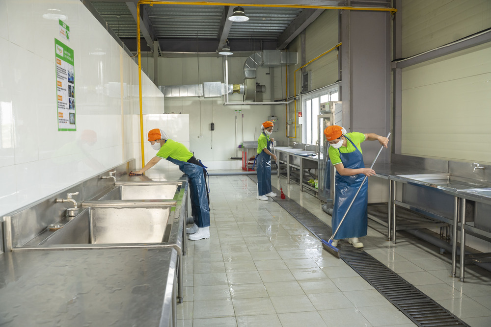 Tạp dề nhựa với Tạp dề vải: Lựa chọn nào tốt hơn cho bếp công nghiệp?