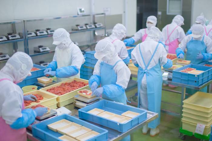 Tạp dề nhựa trong suốt: Giải pháp ATVSTP hàng đầu cho nhà máy